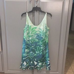Beautiful CAbi sundress.